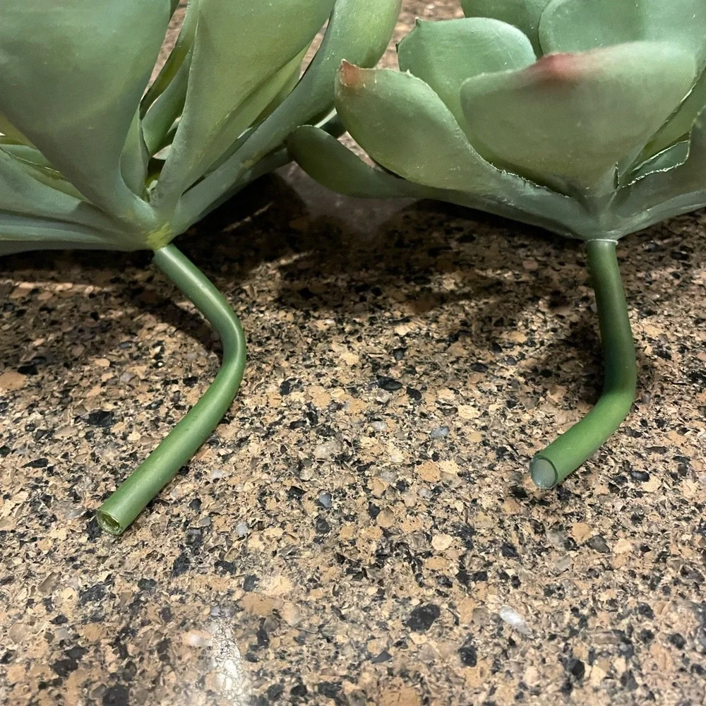 Pottery Barn Succulent Stems set of two